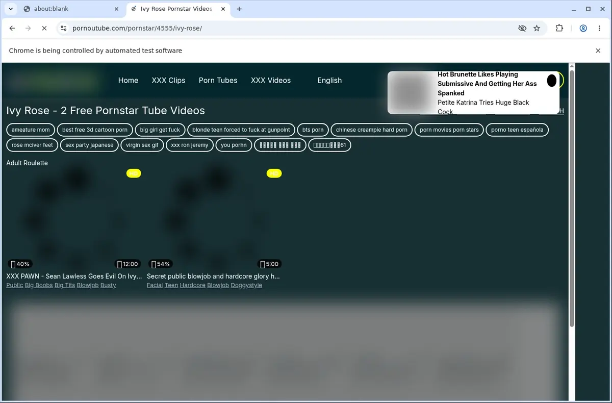 Pornotube Video Downloader page open in the browser