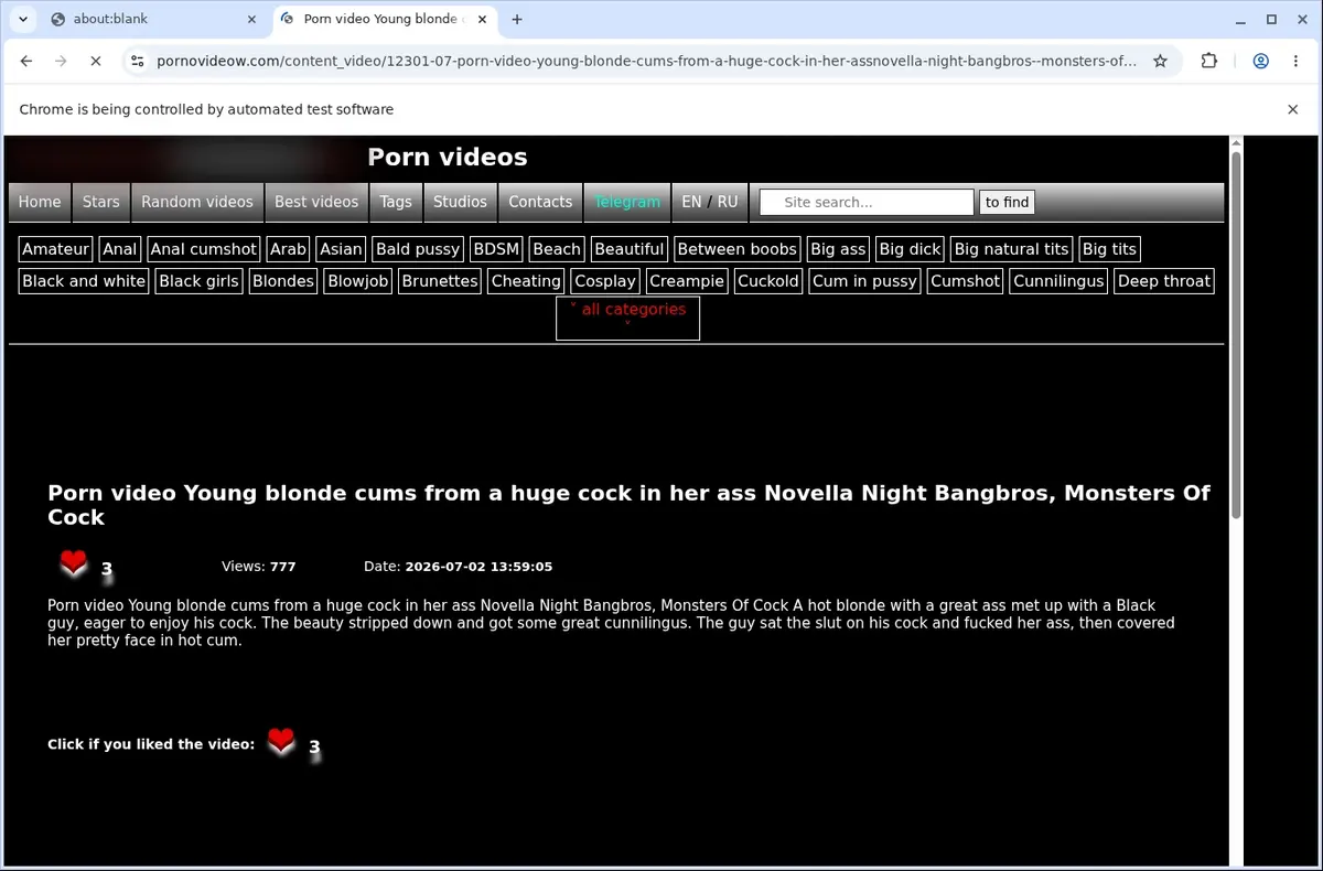 PornoVideow Downloader page open in the browser