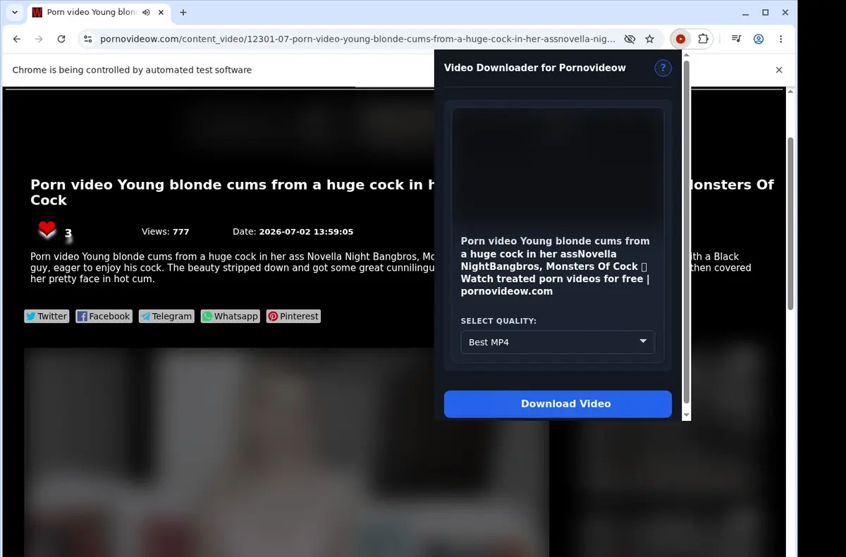 PornoVideow Downloader showing detected media ready to download