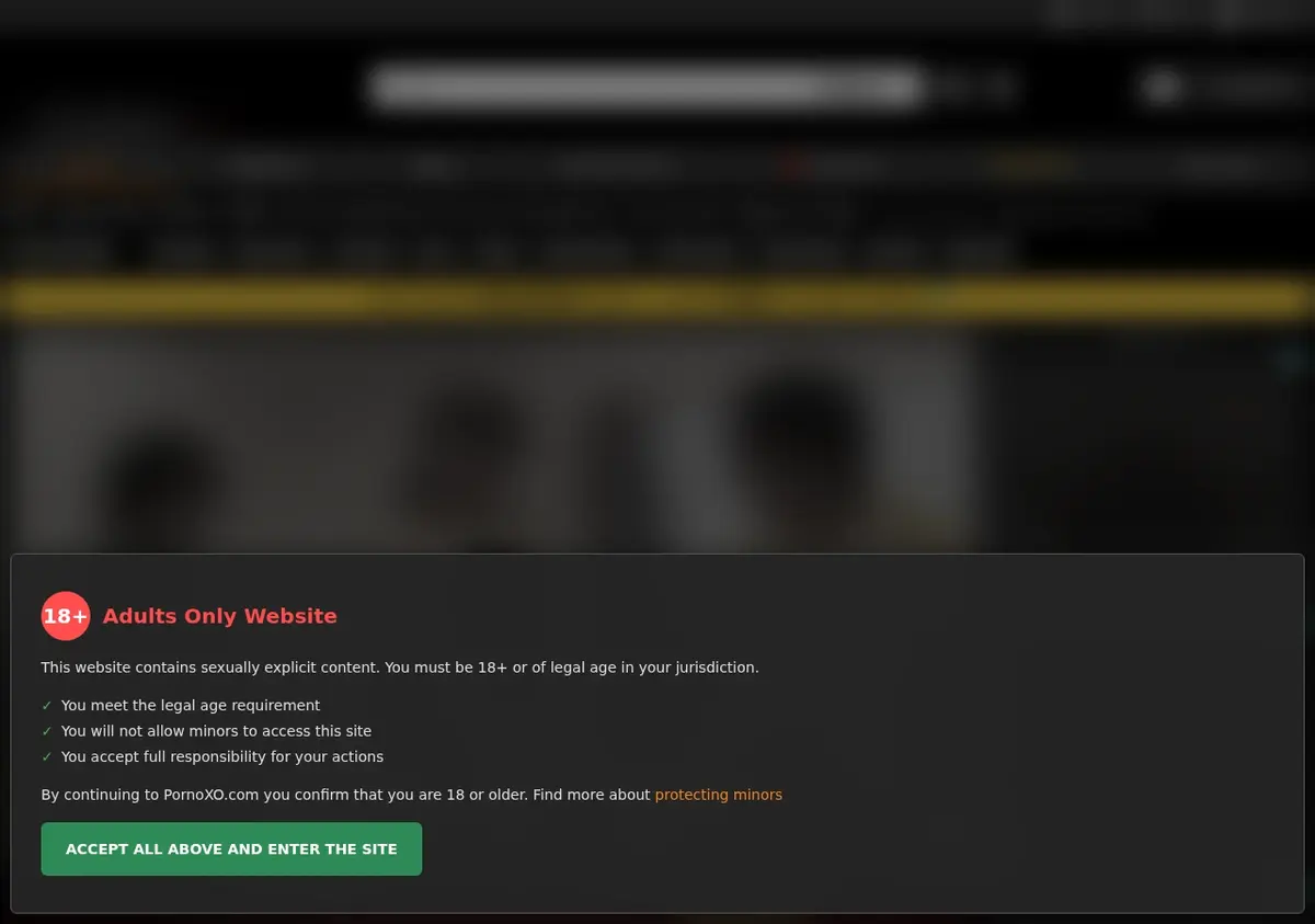Pornoxo Downloader showing detected media ready to download