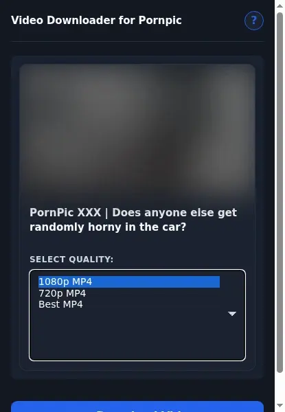 PornPic Video Downloader format dropdown options