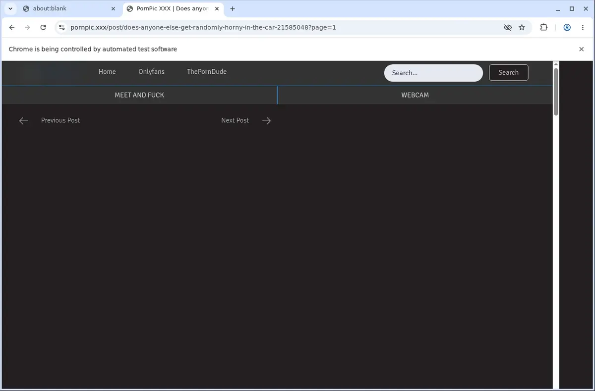 PornPic Video Downloader page open in the browser