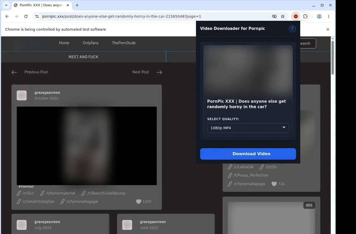 PornPic Video Downloader showing detected media ready to download