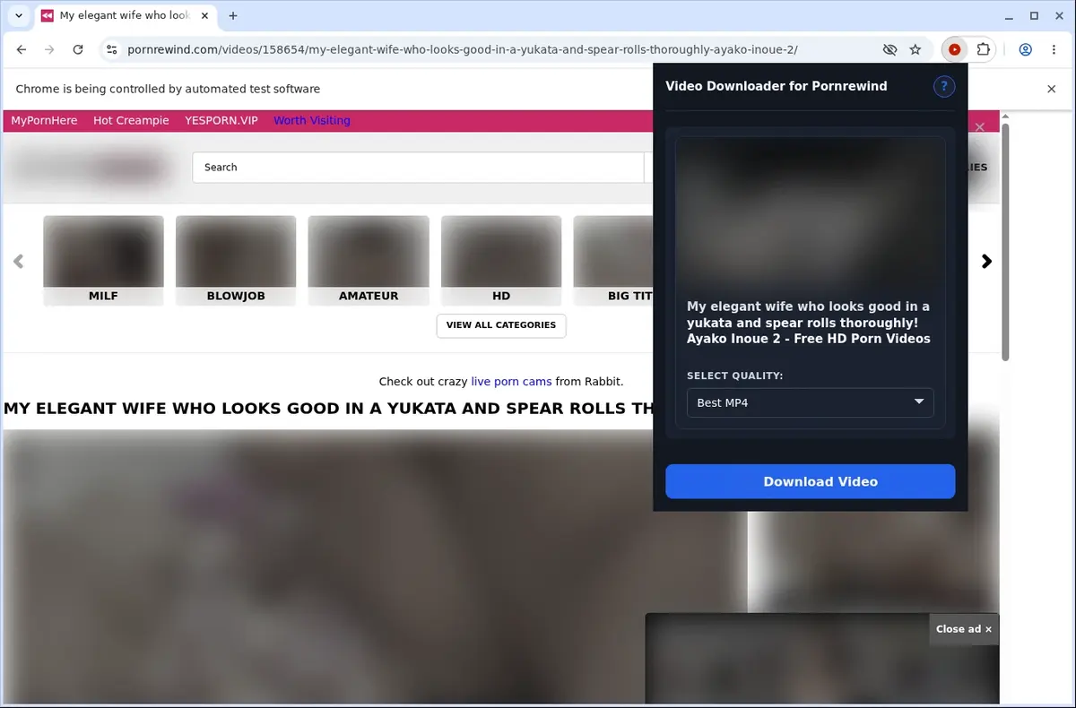 PornRewind Video Downloader showing detected media ready to download