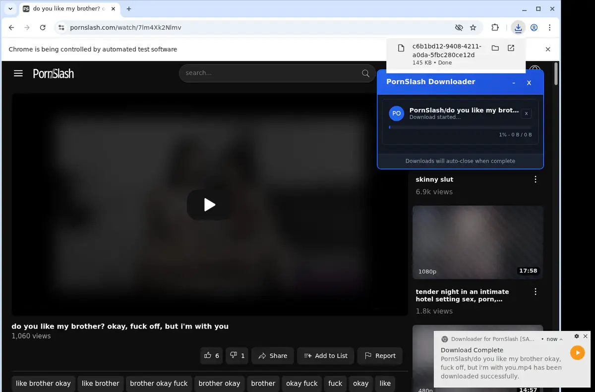 PornSlash Downloader page open in the browser