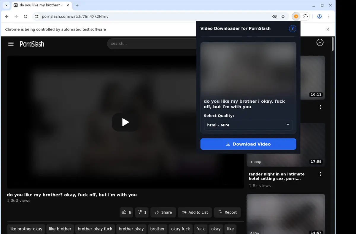 PornSlash Downloader showing detected media ready to download
