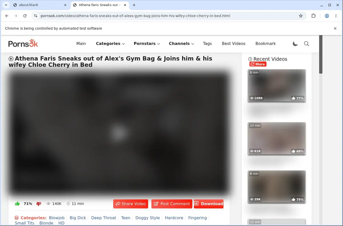 PornsOK Downloader page open in the browser