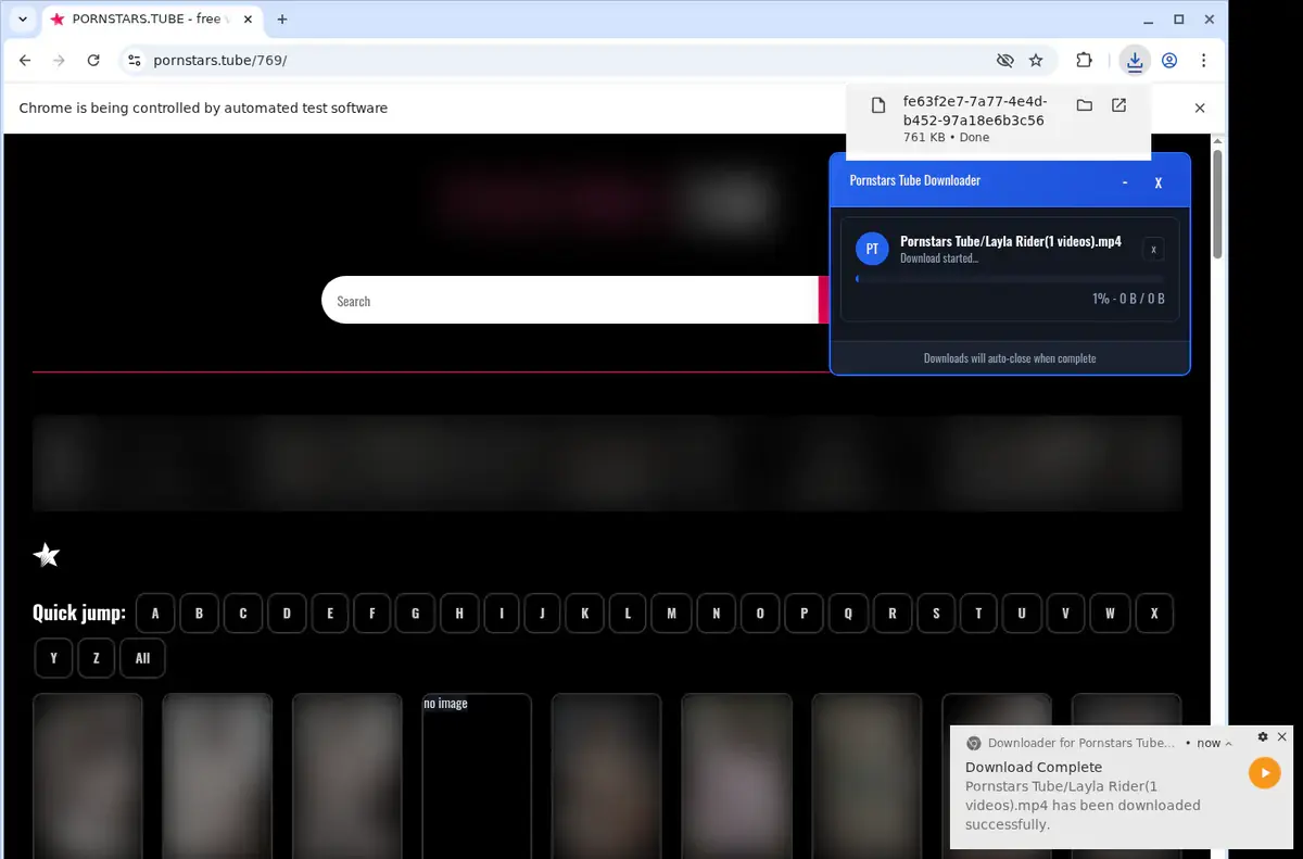 Pornstars Tube Downloader page open in the browser