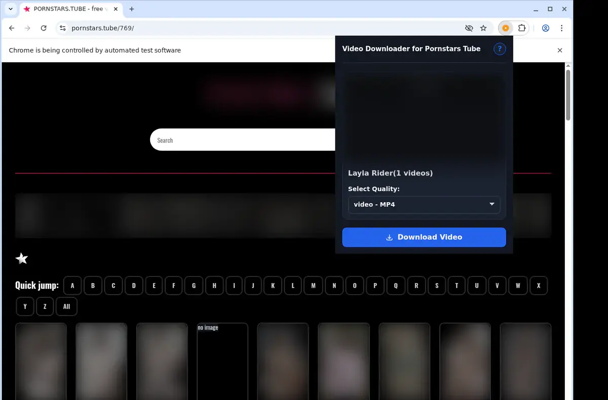 Pornstars Tube Downloader showing detected media ready to download