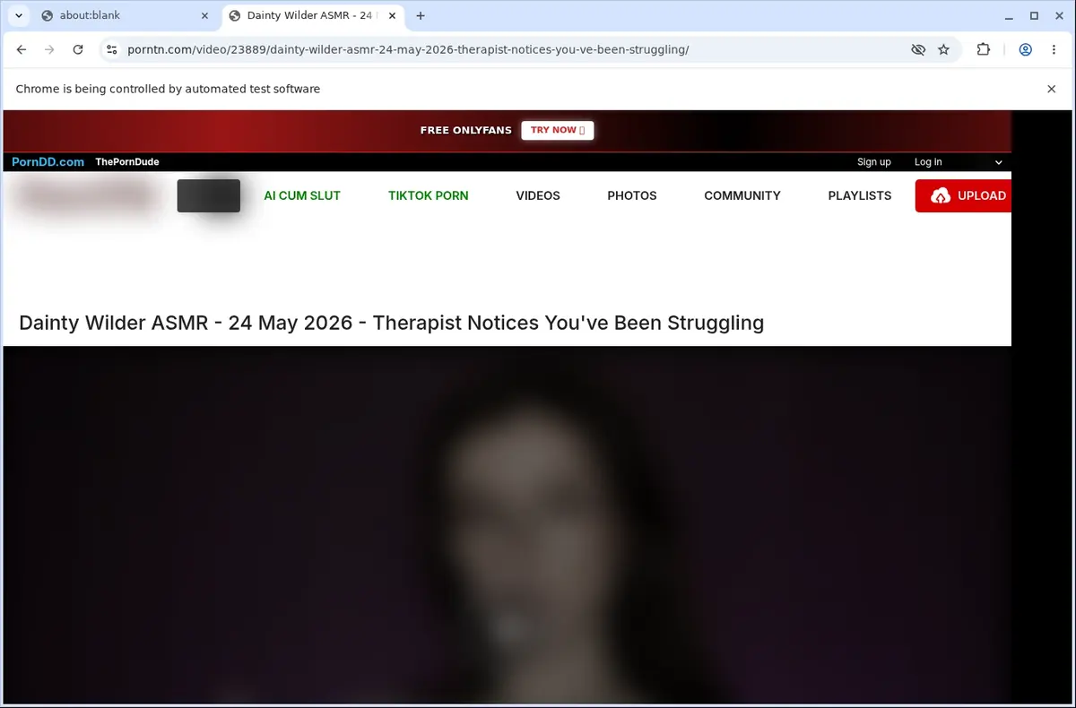 PornTN Video Downloader page open in the browser