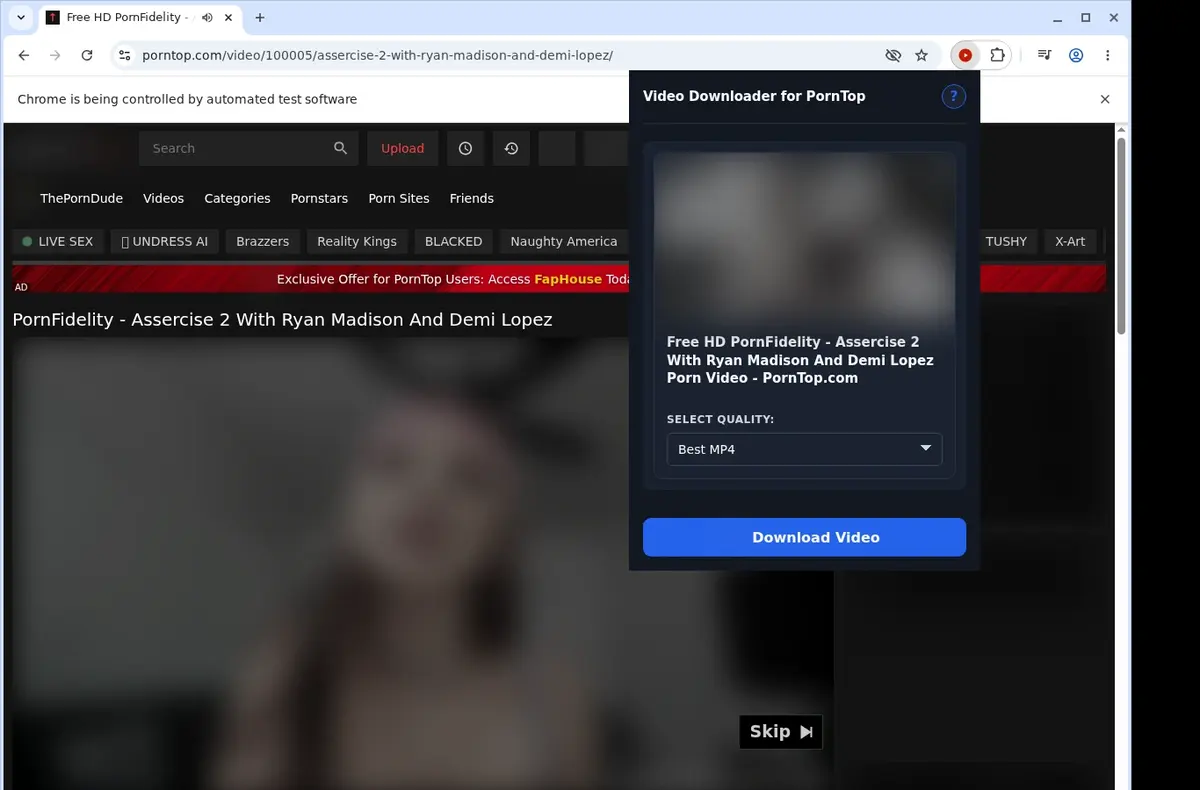 PornTop Downloader showing detected media ready to download