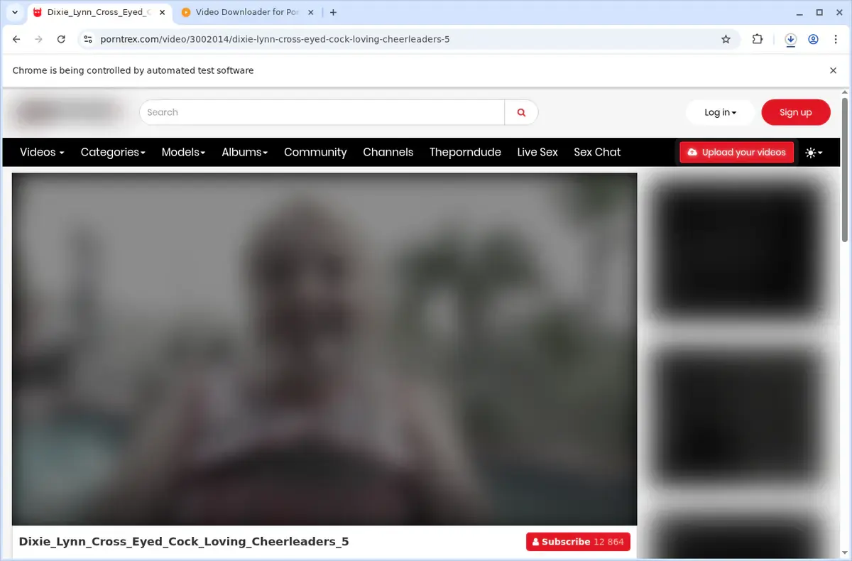 PornTrex Video Downloader download progress panel