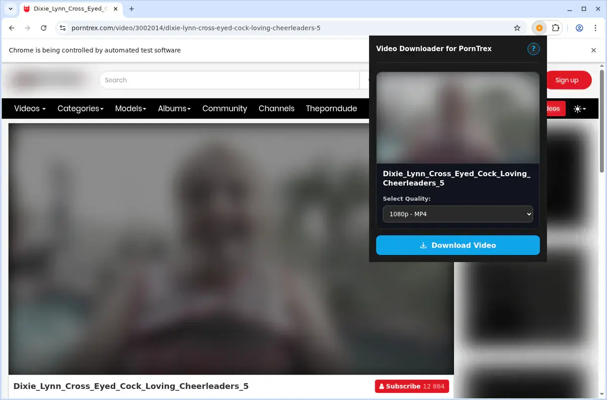 PornTrex Video Downloader showing detected media ready to download