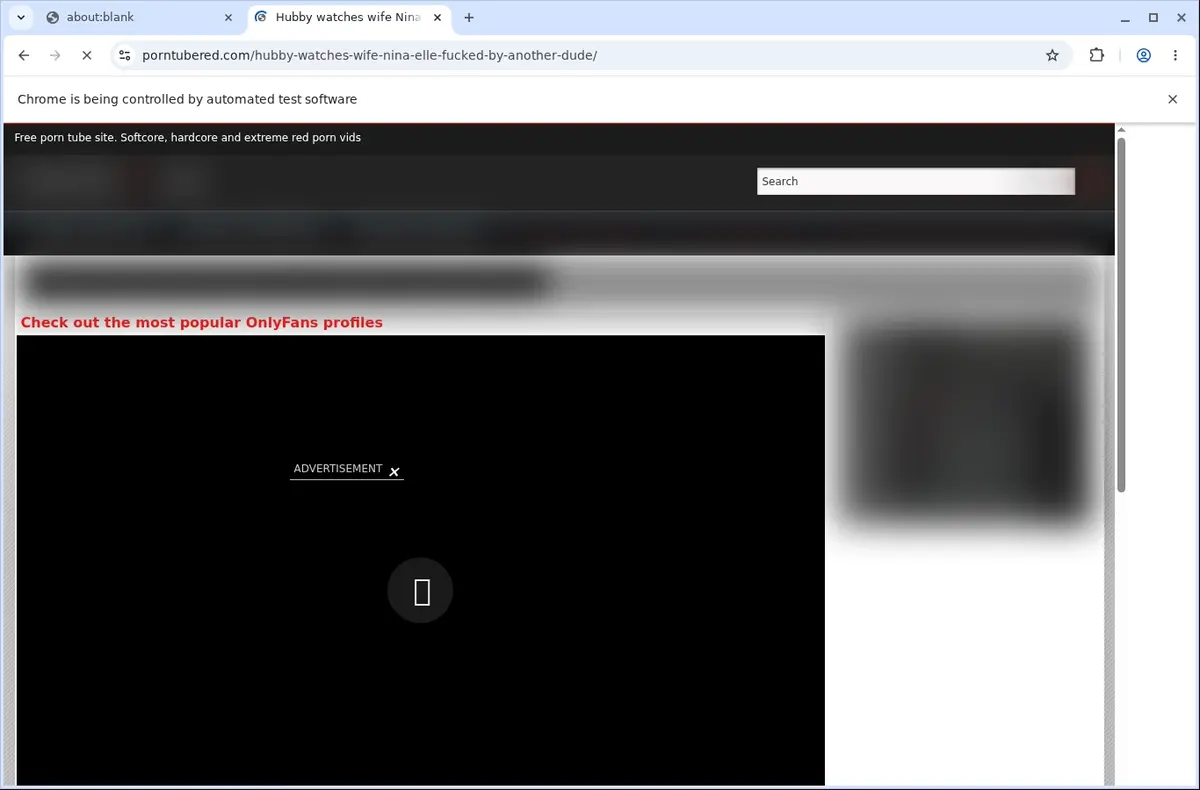 PornTubeRed Downloader page open in the browser