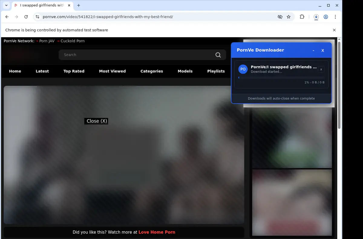 PornVe Downloader download progress panel