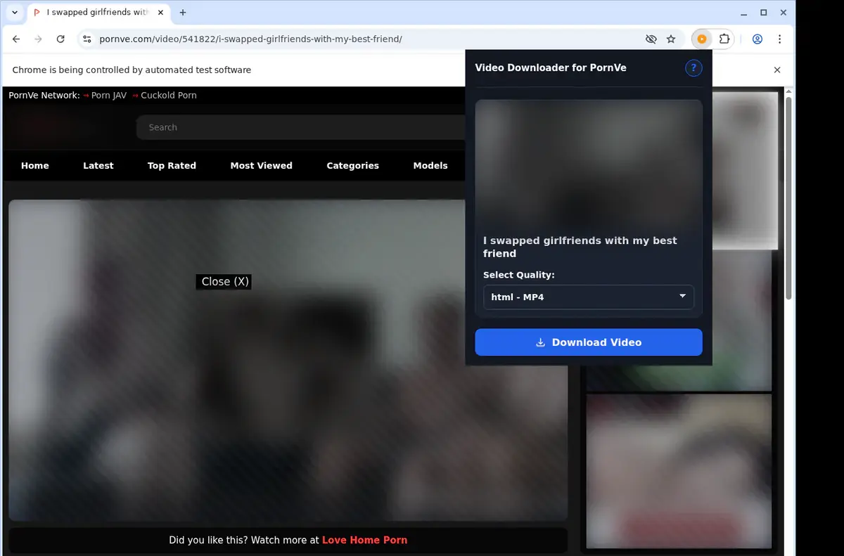 PornVe Downloader showing detected media ready to download