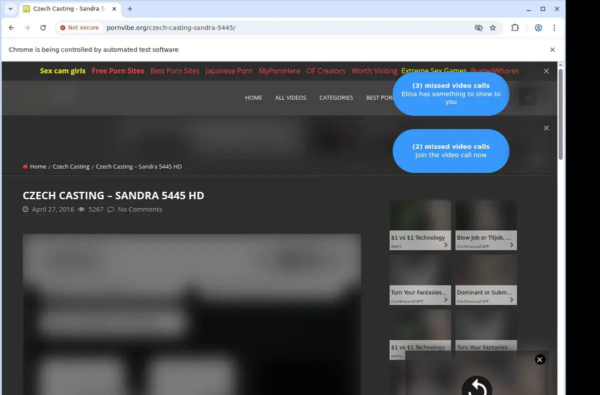 PornVibe Downloader page open in the browser