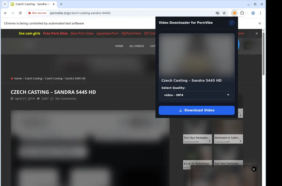 PornVibe Downloader showing detected media ready to download