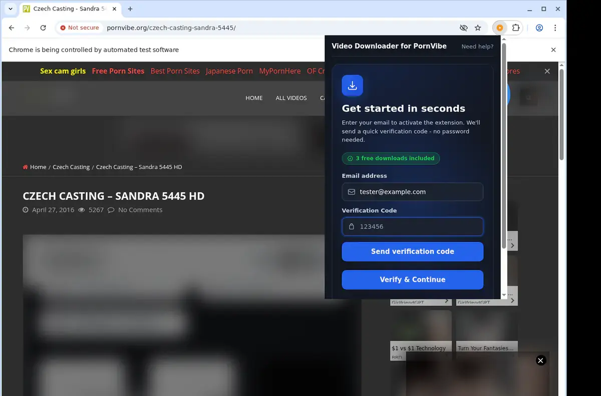 PornVibe Downloader format selection and save step