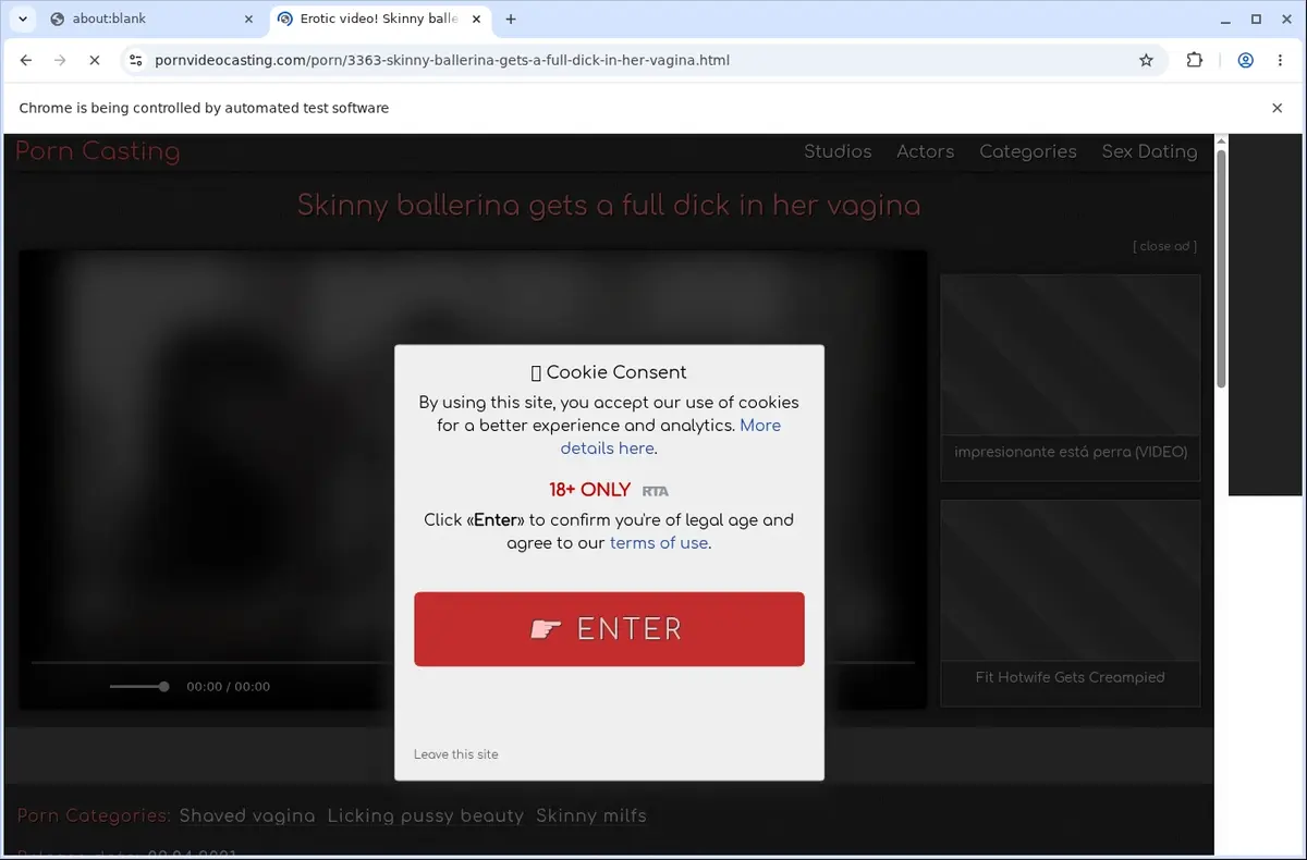Porn Video Casting Downloader page open in the browser