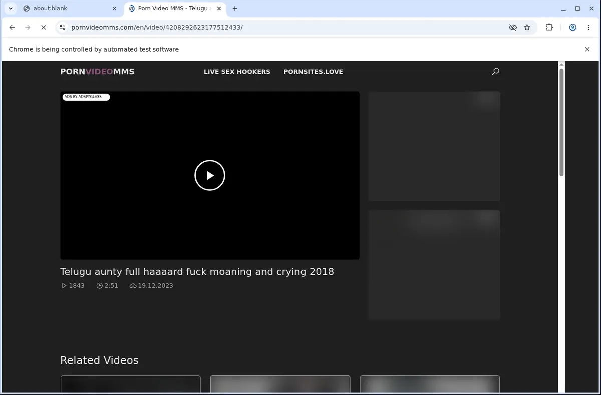 PornVideoMMS Video Downloader page open in the browser