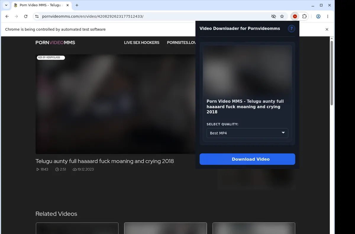 PornVideoMMS Video Downloader showing detected media ready to download