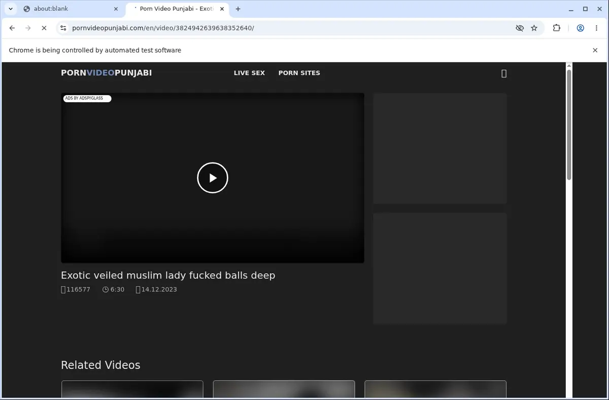 Pornvideopunjabi Video Downloader page open in the browser