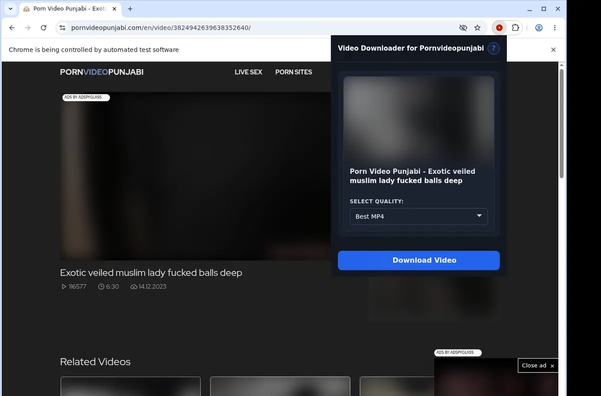 Pornvideopunjabi Video Downloader showing detected media ready to download