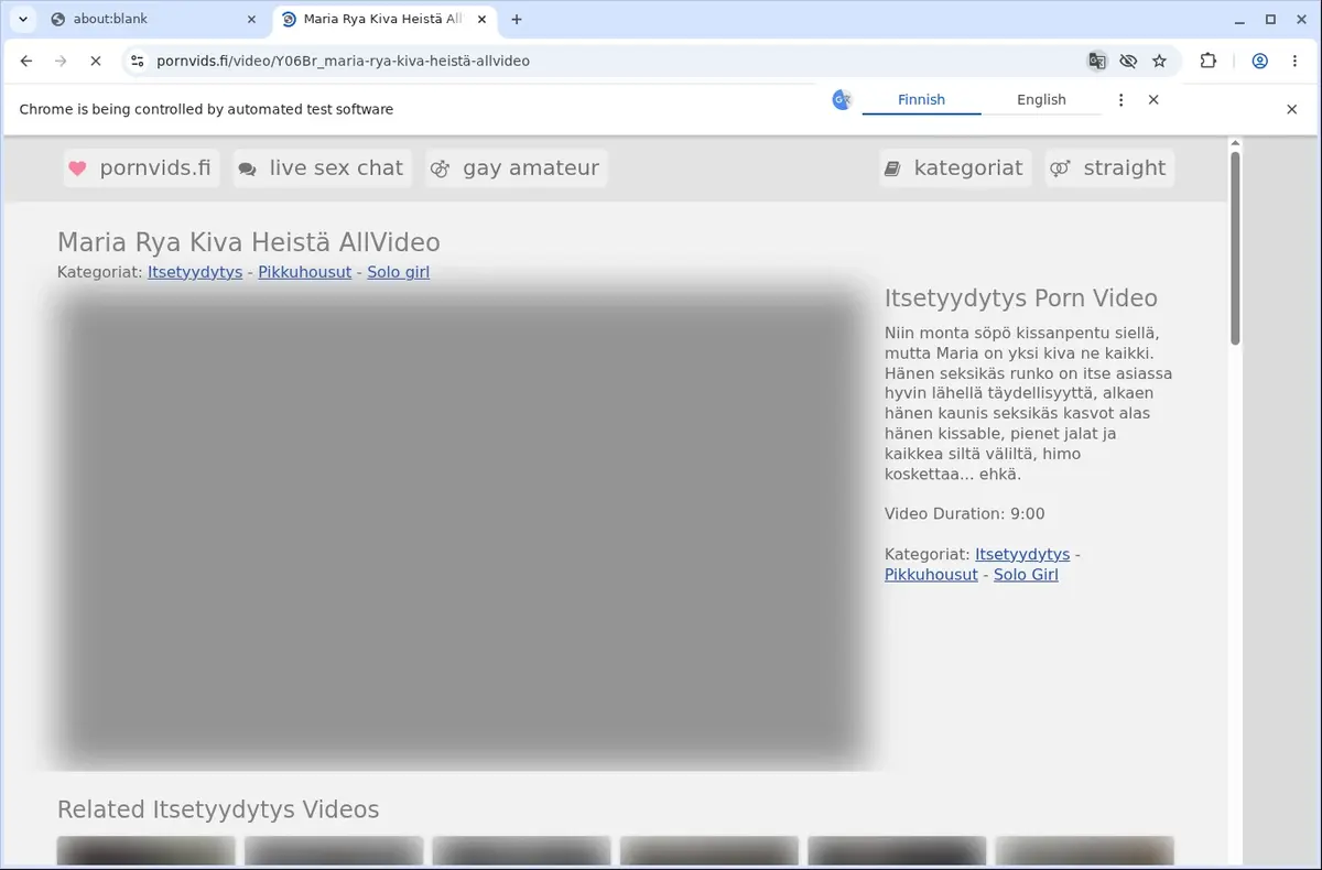 PornVids Downloader page open in the browser