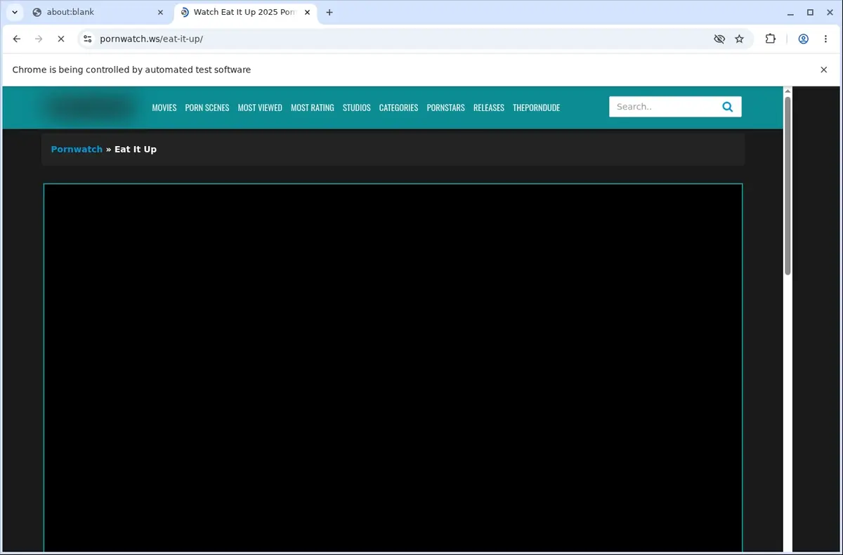PornWatch Video Downloader page open in the browser