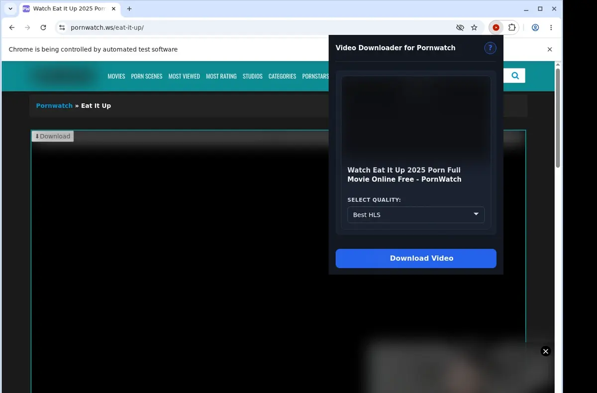 PornWatch Video Downloader showing detected media ready to download