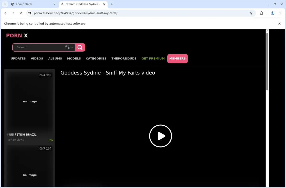 PornX Video Downloader page open in the browser