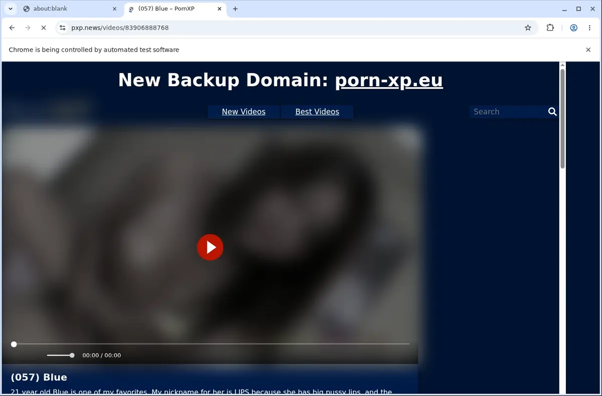 PornXP Downloader page open in the browser