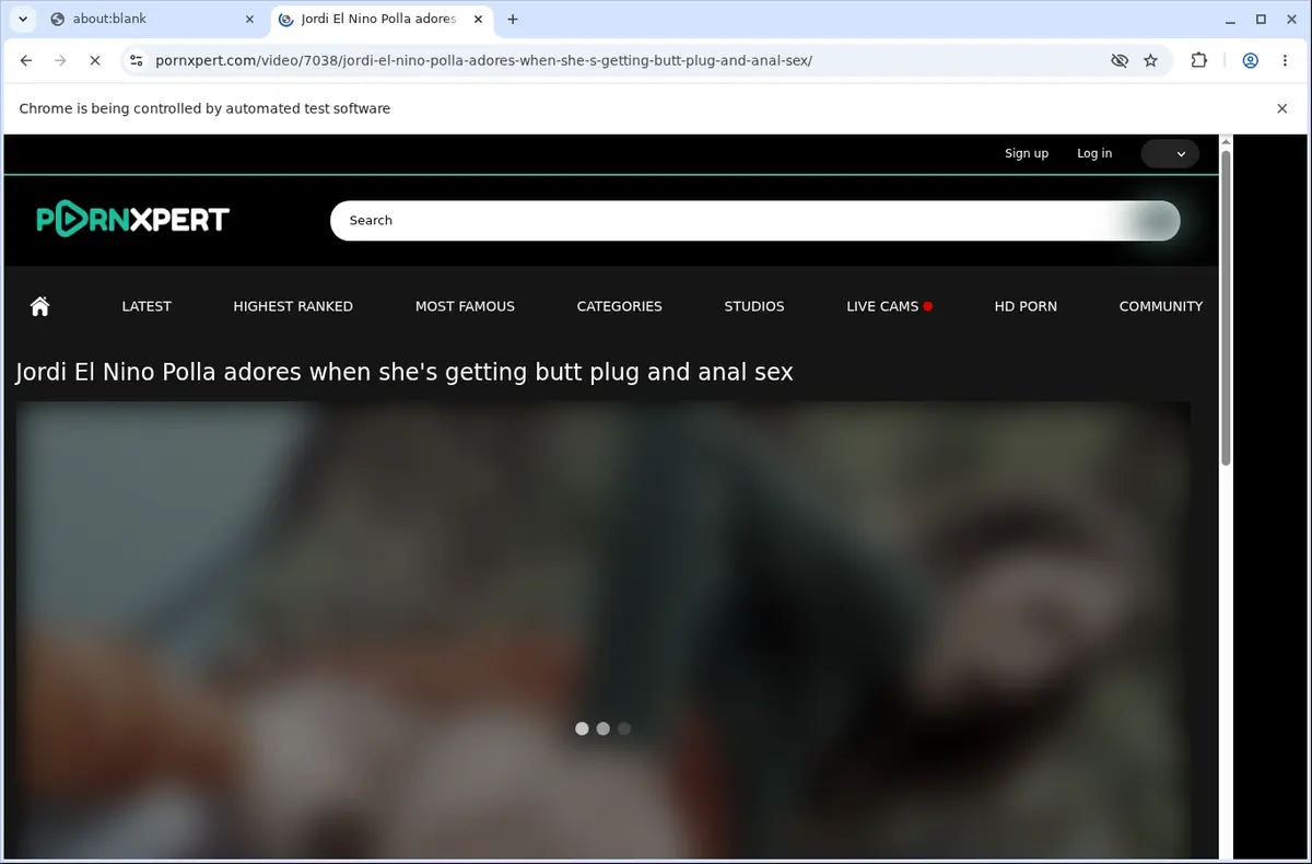 PornXpert Video Downloader page open in the browser