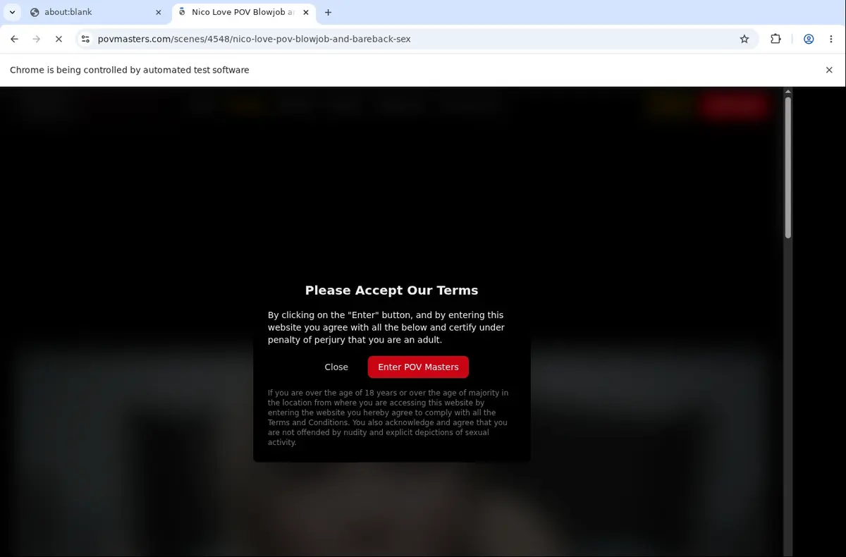 POVMasters Video Downloader page open in the browser