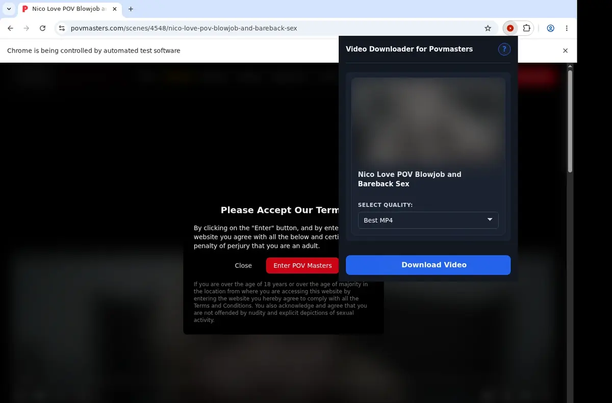 POVMasters Video Downloader showing detected media ready to download