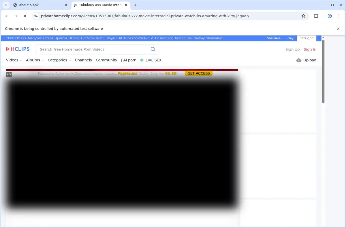 PrivateHomeClips Video Downloader page open in the browser