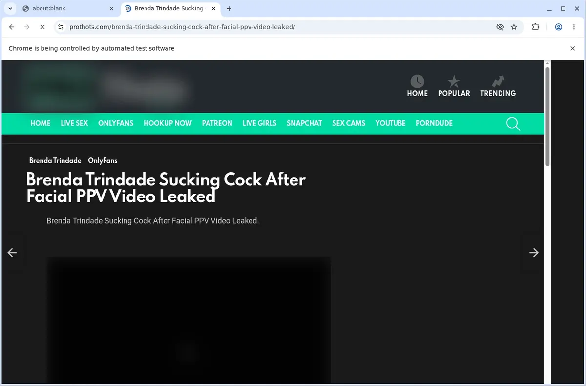 ProThots Video Downloader page open in the browser