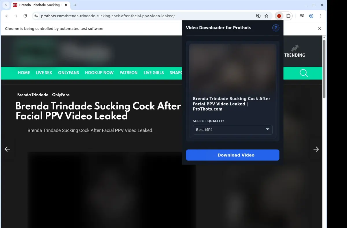 ProThots Video Downloader showing detected media ready to download
