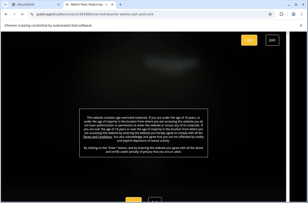 PublicAgent Video Downloader page open in the browser