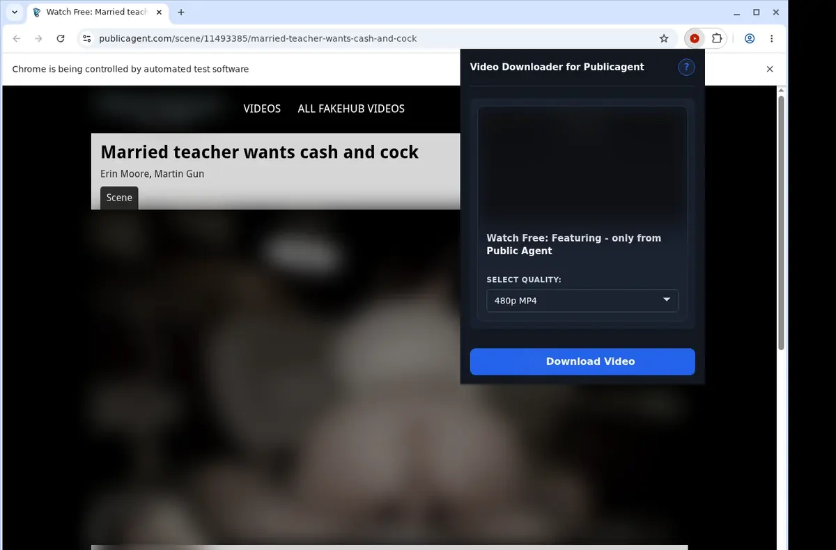 PublicAgent Video Downloader showing detected media ready to download