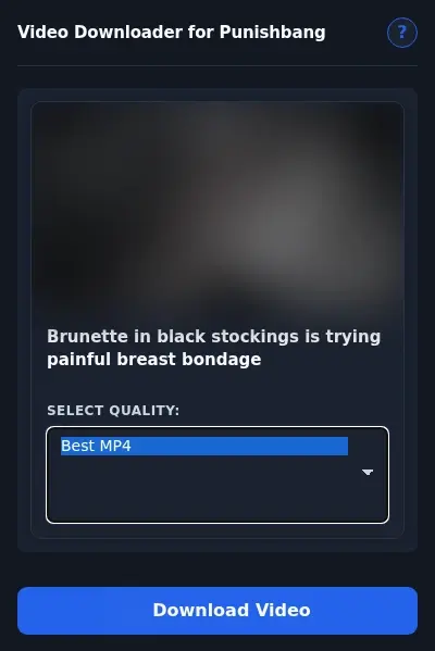 PunishBang Video Downloader format dropdown options