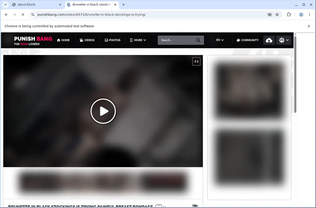 PunishBang Video Downloader page open in the browser