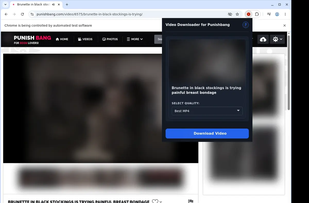 PunishBang Video Downloader showing detected media ready to download