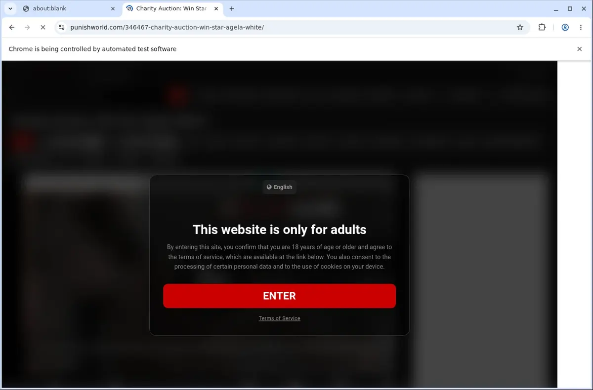 Punishworld Video Downloader page open in the browser