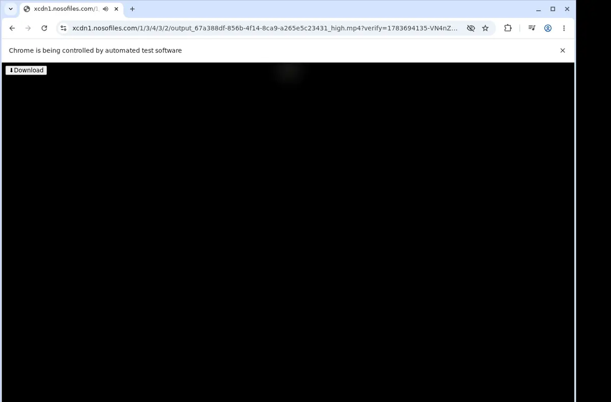 Punishworld Video Downloader showing detected media ready to download