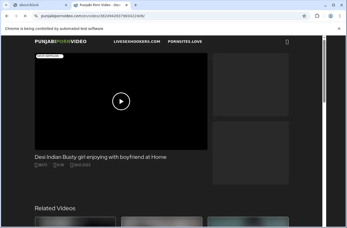 Punjabipornvideo Video Downloader page open in the browser