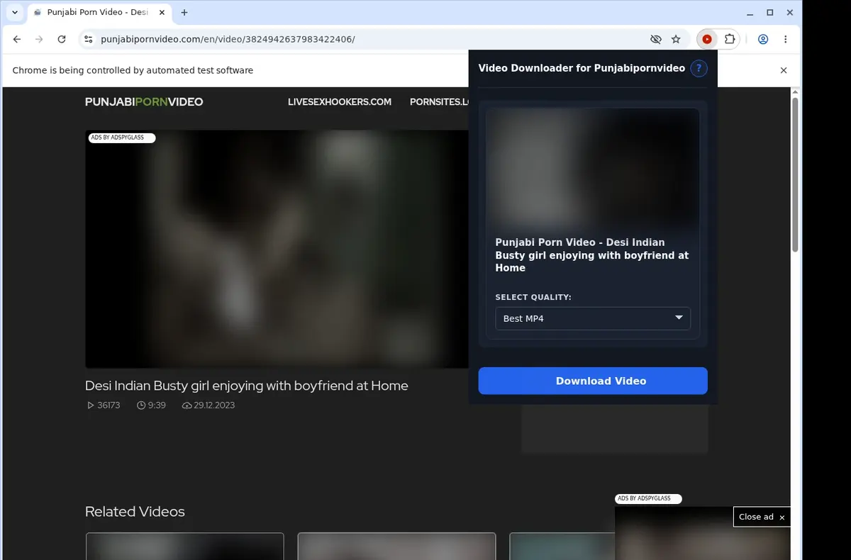 Punjabipornvideo Video Downloader showing detected media ready to download