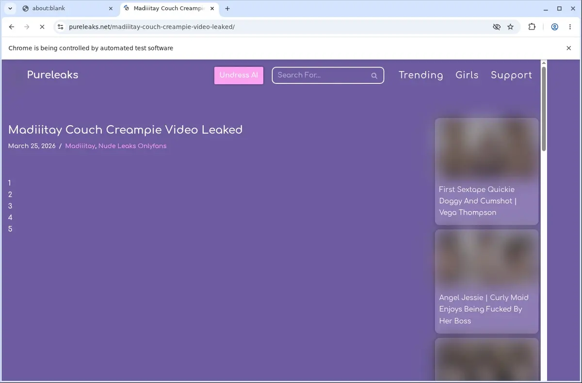 PureLeaks Video Downloader page open in the browser