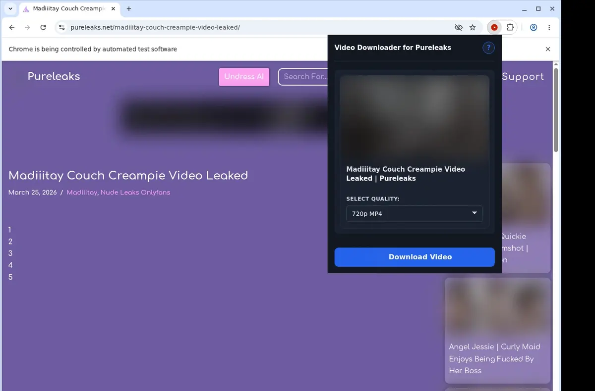 PureLeaks Video Downloader showing detected media ready to download